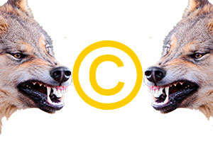 Взаимоотношения между владельцами авторских прав